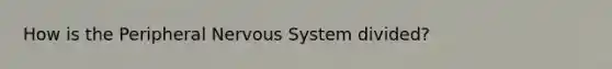 How is the Peripheral Nervous System divided?