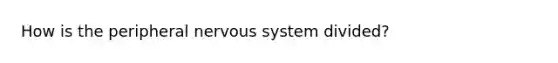 How is the peripheral nervous system divided?