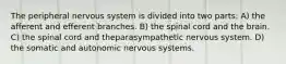 The peripheral nervous system is divided into two parts: A) the afferent and efferent branches. B) the spinal cord and the brain. C) the spinal cord and theparasympathetic nervous system. D) the somatic and autonomic nervous systems.