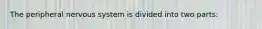 The peripheral nervous system is divided into two parts: