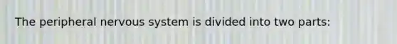 The peripheral nervous system is divided into two parts: