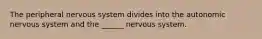 The peripheral nervous system divides into the autonomic nervous system and the ______ nervous system.