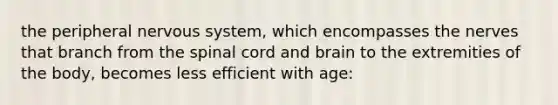 the peripheral nervous system, which encompasses the nerves that branch from the spinal cord and brain to the extremities of the body, becomes less efficient with age: