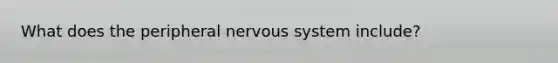 What does the peripheral nervous system include?