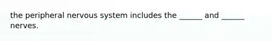 the peripheral nervous system includes the ______ and ______ nerves.