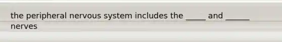 the peripheral nervous system includes the _____ and ______ nerves