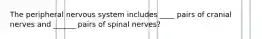 The peripheral nervous system includes ____ pairs of cranial nerves and ______ pairs of spinal nerves?