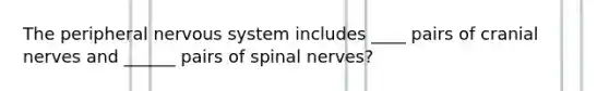 The peripheral nervous system includes ____ pairs of <a href='https://www.questionai.com/knowledge/kE0S4sPl98-cranial-nerves' class='anchor-knowledge'>cranial nerves</a> and ______ pairs of spinal nerves?