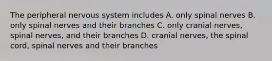 The peripheral nervous system includes A. only spinal nerves B. only spinal nerves and their branches C. only cranial nerves, spinal nerves, and their branches D. cranial nerves, the spinal cord, spinal nerves and their branches