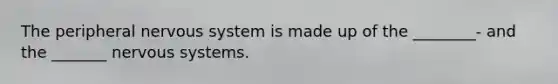 The peripheral nervous system is made up of the ________- and the _______ nervous systems.