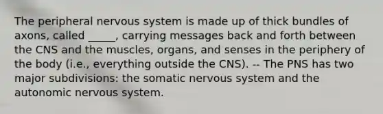 The peripheral nervous system is made up of thick bundles of axons, called _____, carrying messages back and forth between the CNS and the muscles, organs, and senses in the periphery of the body (i.e., everything outside the CNS). -- The PNS has two major subdivisions: the somatic nervous system and the autonomic nervous system.