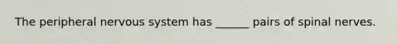 The peripheral nervous system has ______ pairs of spinal nerves.