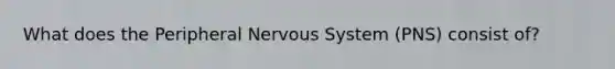 What does the Peripheral Nervous System (PNS) consist of?