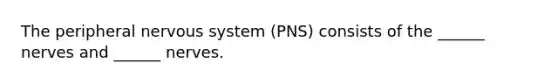 The peripheral nervous system (PNS) consists of the ______ nerves and ______ nerves.