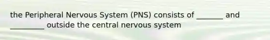 the Peripheral Nervous System (PNS) consists of _______ and _________ outside the central nervous system