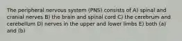 The peripheral nervous system (PNS) consists of A) spinal and cranial nerves B) the brain and spinal cord C) the cerebrum and cerebellum D) nerves in the upper and lower limbs E) both (a) and (b)