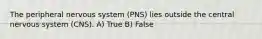 The peripheral nervous system (PNS) lies outside the central nervous system (CNS). A) True B) False