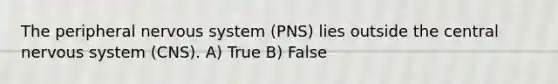 The peripheral nervous system (PNS) lies outside the central nervous system (CNS). A) True B) False