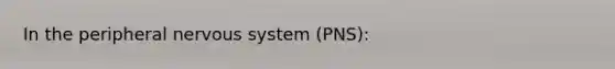 In the peripheral <a href='https://www.questionai.com/knowledge/kThdVqrsqy-nervous-system' class='anchor-knowledge'>nervous system</a> (PNS):