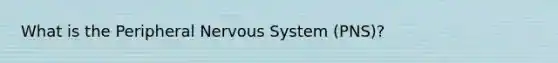 What is the Peripheral Nervous System (PNS)?