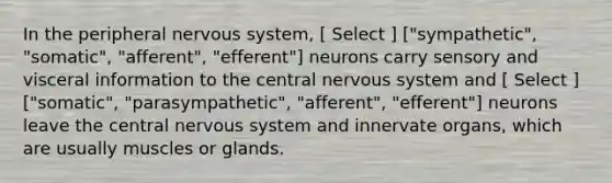 In the peripheral nervous system, [ Select ] ["sympathetic", "somatic", "afferent", "efferent"] neurons carry sensory and visceral information to the central nervous system and [ Select ] ["somatic", "parasympathetic", "afferent", "efferent"] neurons leave the central nervous system and innervate organs, which are usually muscles or glands.