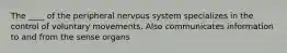 The ____ of the peripheral nervous system specializes in the control of voluntary movements. Also communicates information to and from the sense organs