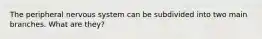 The peripheral nervous system can be subdivided into two main branches. What are they?