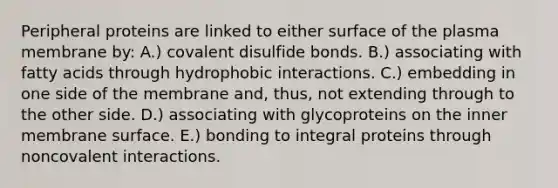 Peripheral proteins are linked to either surface of the plasma membrane by: A.) covalent disulfide bonds. B.) associating with fatty acids through hydrophobic interactions. C.) embedding in one side of the membrane and, thus, not extending through to the other side. D.) associating with glycoproteins on the inner membrane surface. E.) bonding to integral proteins through noncovalent interactions.