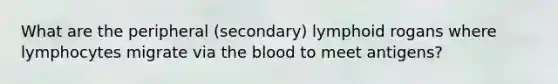 What are the peripheral (secondary) lymphoid rogans where lymphocytes migrate via the blood to meet antigens?