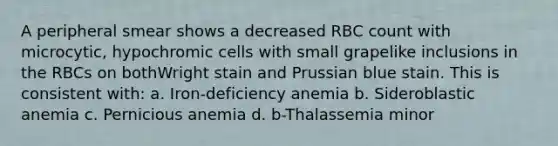 A peripheral smear shows a decreased RBC count with microcytic, hypochromic cells with small grapelike inclusions in the RBCs on bothWright stain and Prussian blue stain. This is consistent with: a. Iron-deficiency anemia b. Sideroblastic anemia c. Pernicious anemia d. b-Thalassemia minor