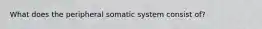 What does the peripheral somatic system consist of?