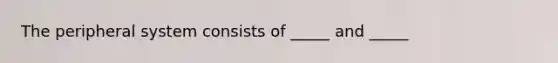 The peripheral system consists of _____ and _____