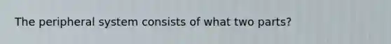 The peripheral system consists of what two parts?