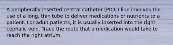 A peripherally inserted central catheter (PICC) line involves the use of a long, thin tube to deliver medications or nutrients to a patient. For adult patients, it is usually inserted into the right cephalic vein. Trace the route that a medication would take to reach the right atrium.