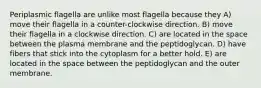 Periplasmic flagella are unlike most flagella because they A) move their flagella in a counter-clockwise direction. B) move their flagella in a clockwise direction. C) are located in the space between the plasma membrane and the peptidoglycan. D) have fibers that stick into the cytoplasm for a better hold. E) are located in the space between the peptidoglycan and the outer membrane.