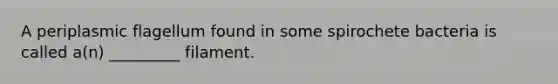 A periplasmic flagellum found in some spirochete bacteria is called a(n) _________ filament.