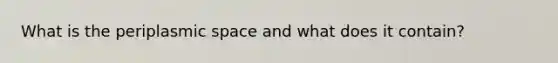 What is the periplasmic space and what does it contain?