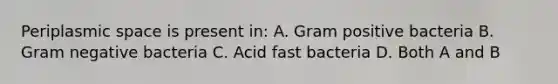 Periplasmic space is present in: A. Gram positive bacteria B. Gram negative bacteria C. Acid fast bacteria D. Both A and B