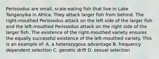 Perissodus are small, scale-eating fish that live in Lake Tanganyika in Africa. They attack larger fish from behind. The right-mouthed Perissodus attack on the left side of the larger fish and the left-mouthed Perissodus attack on the right side of the larger fish. The existence of the right-mouthed variety ensures the equally successful existence of the left-mouthed variety. This is an example of: A. a heterozygous advantage B. frequency dependent selection C. genetic drift D. sexual selection