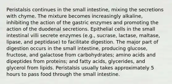 Peristalsis continues in the small intestine, mixing the secretions with chyme. The mixture becomes increasingly alkaline, inhibiting the action of the gastric enzymes and promoting the action of the duodenal secretions. Epithelial cells in the small intestinal villi secrete enzymes (e.g., sucrase, lactase, maltase, lipase, and peptidase) to facilitate digestion. The major part of digestion occurs in the small intestine, producing glucose, fructose, and galactose from carbohydrates; amino acids and dipeptides from proteins; and fatty acids, glycerides, and glycerol from lipids. Peristalsis usually takes approximately 5 hours to pass food through the small intestine.