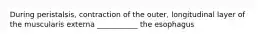 During peristalsis, contraction of the outer, longitudinal layer of the muscularis externa ___________ the esophagus