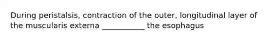During peristalsis, contraction of the outer, longitudinal layer of the muscularis externa ___________ the esophagus