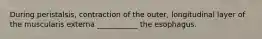 During peristalsis, contraction of the outer, longitudinal layer of the muscularis externa ___________ the esophagus.