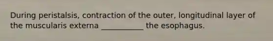 During peristalsis, contraction of the outer, longitudinal layer of the muscularis externa ___________ the esophagus.