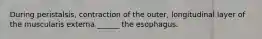 During peristalsis, contraction of the outer, longitudinal layer of the muscularis externa ______ the esophagus.