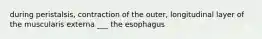 during peristalsis, contraction of the outer, longitudinal layer of the muscularis externa ___ the esophagus