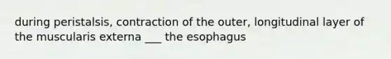 during peristalsis, contraction of the outer, longitudinal layer of the muscularis externa ___ the esophagus