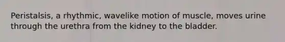 Peristalsis, a rhythmic, wavelike motion of muscle, moves urine through the urethra from the kidney to the bladder.