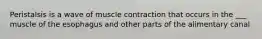 Peristalsis is a wave of muscle contraction that occurs in the ___ muscle of the esophagus and other parts of the alimentary canal