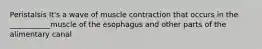 Peristalsis It's a wave of muscle contraction that occurs in the ___________muscle of the esophagus and other parts of the alimentary canal